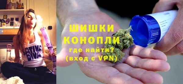 сатива Каменка