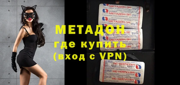 сатива Каменка