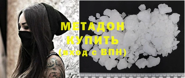 сатива Каменка