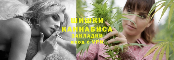 сатива Каменка