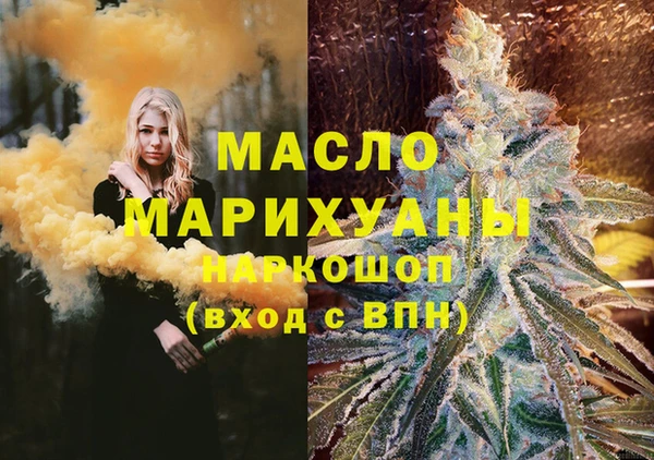сатива Каменка