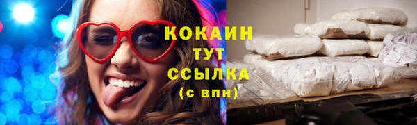 сатива Каменка