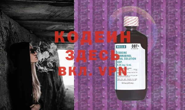 сатива Каменка