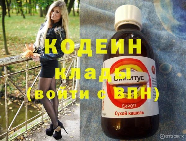 сатива Каменка