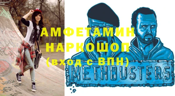 сатива Каменка