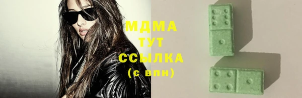 сатива Каменка
