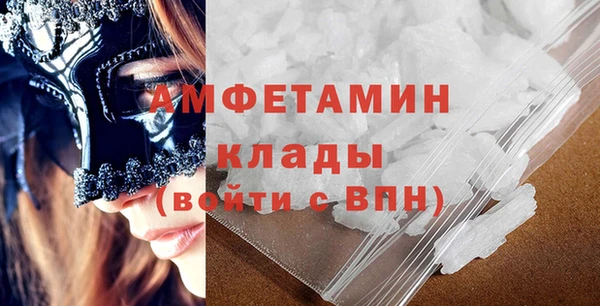 сатива Каменка