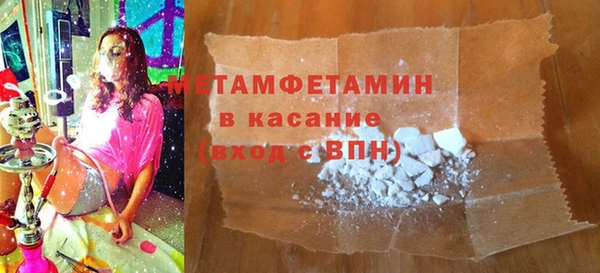 сатива Каменка