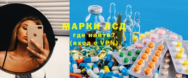 сатива Каменка