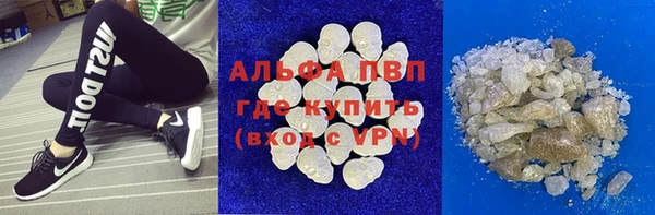 сатива Каменка