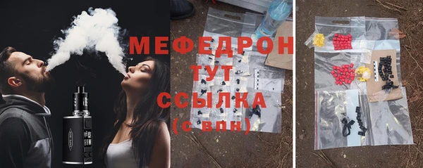 сатива Каменка