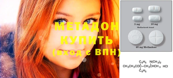 сатива Каменка