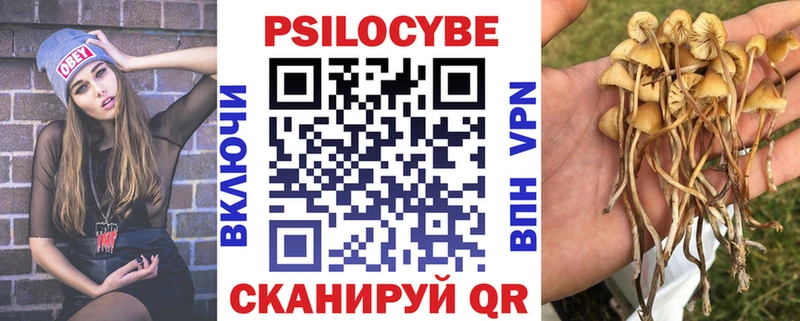 Псилоцибиновые грибы Cubensis  Купить  Дрезна 